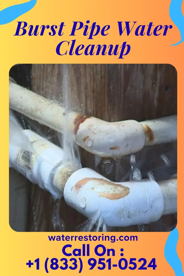 Burst Pipe Water Cleanup in Nicholasville, KY